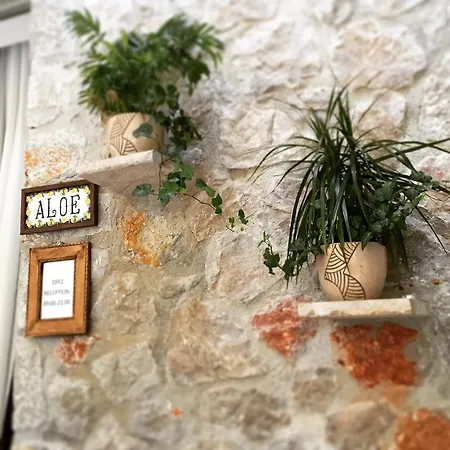 Appartement Aloe Luxury &